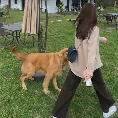 欢迎来到东莫村