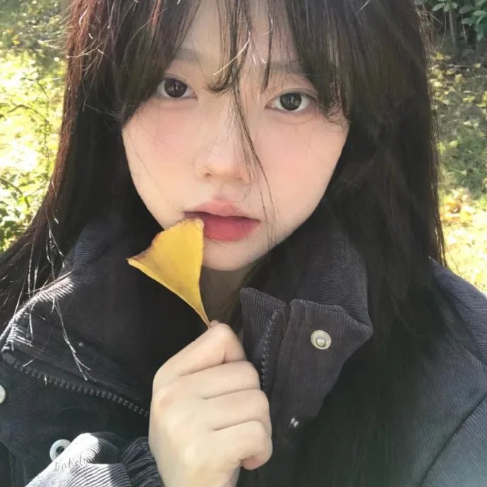 酱狗