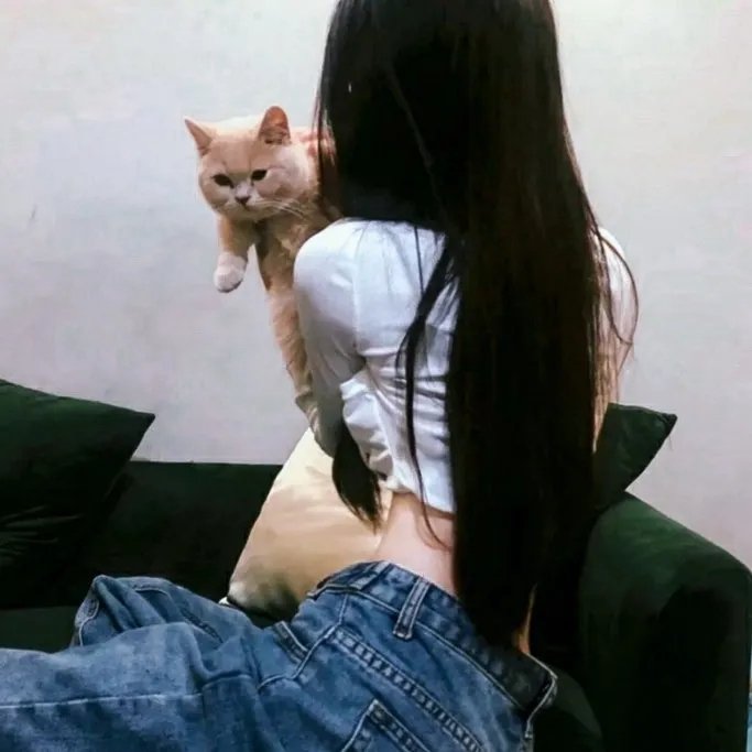 叔比狗露营惊魂记